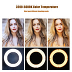 MANTOO RL-12 II 100-240V 28W 12 inch Two-color Dimmable Ring Fill Light with Tripod, 12 inch