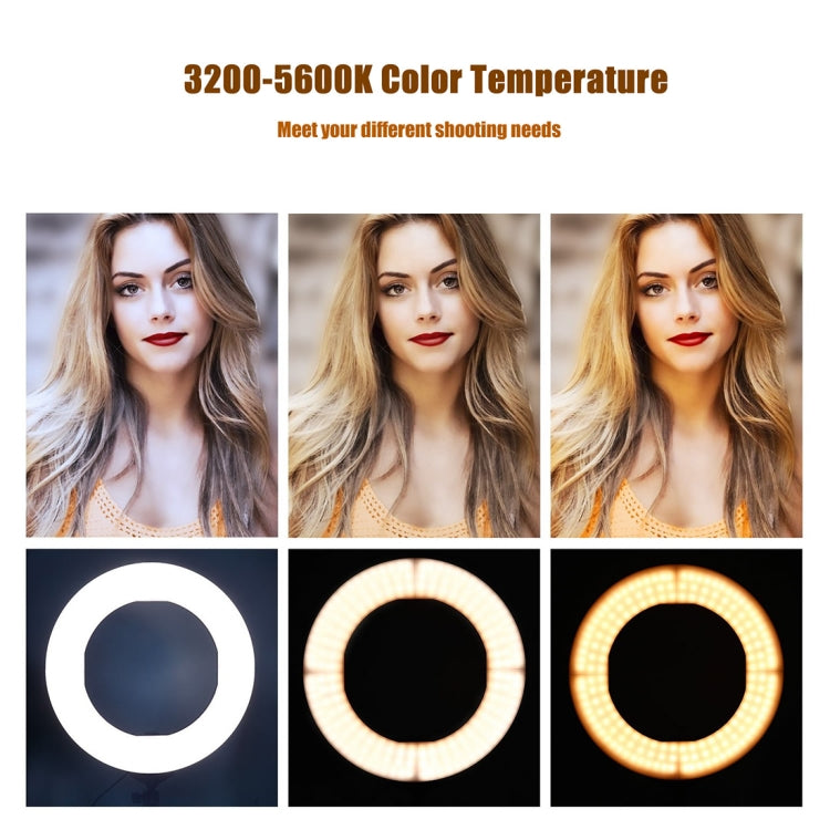 MANTOO RL-18 II 100-240V 55W 18 inch Two-color Dimmable Ring Fill Light with Tripod, 18 inch