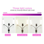 RK39 Portable Tri-color Adjustable Brightness Double Arms Fill Light with Phone Clip