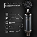Logitech Blue Spark SL Network K Song Anchor Equipment Condenser Recording Microphone, Blue Spark SL