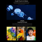 Triple Back Cameras, In-screen Fingerprint Identification, 6.67 inch HarmonyOS 3.1 Qualcomm Snapdragon 8+ 4G Octa Core up to 3.2GHz, Network: 4G, OTG, NFC, Not Support Google Play, P60 Pro, 512GB