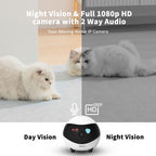EBO SE 1080P HD Smart Home Companion Robot Remote Monitoring Camera, Support Infrared Night Vision & Two-way Voice & TF Card, US Plug