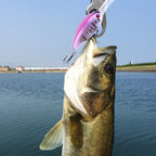 HENGJIA 6# 12cm Realistic Color Rock Plastic Hard Baits Fishing Lures Fishing Tackle Baits, Random Color Delivery, 1#, 2#, 3#, 4#, 5#, 6#