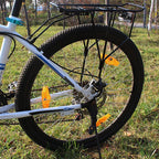 10 PCS Mountain Bike Spoke Reflection