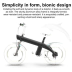 Q3 250W All-terrain Off-road Electric Bicycle with 20 inch Tires, EU Plug (Black)