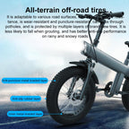 Q3 250W All-terrain Off-road Electric Bicycle with 20 inch Tires, EU Plug (Black)