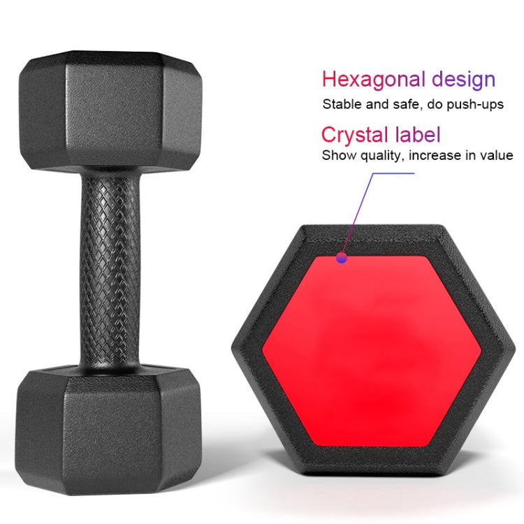 15KG A Pair Red Seal Household Glue Fitness Hexagon Dumbbells, 15KG