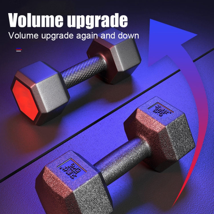 15KG A Pair Red Seal Household Glue Fitness Hexagon Dumbbells, 15KG