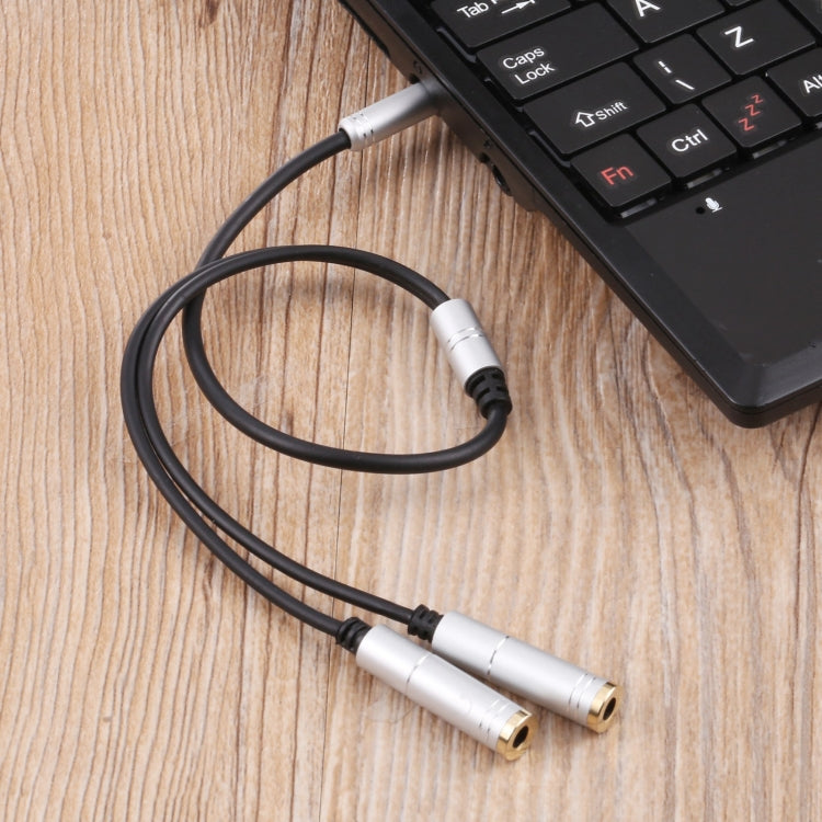 2 x 3.5mm Female to 3.5mm Male Adapter Cable, 2 x 3.5mm Female to 3.5mm Male