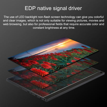 15.6 inch 1080P 178 Degree Wide Angle HD Portable IPS LED Display Monitor, HSD-1560