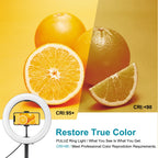 PULUZ 10.2 inch 26cm USB 3 Modes Dimmable Dual Color Temperature LED Curved  Ring Vlogging Selfie Photography Video Lights with Bluetooth Remote Shutter & Folding Desktop Holder & Phone Clamp