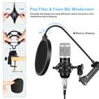 PULUZ Studio Broadcast Professional Singing Microphone Kits with Suspension Scissor Arm & Metal Shock Mount & USB Sound Card, Microphone Kits (Silver), Microphone Kits (Black)