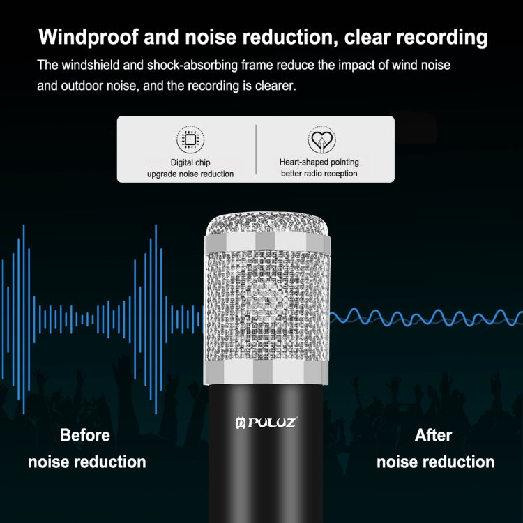 PULUZ Studio Broadcast Professional Singing Microphone Kits with Suspension Scissor Arm & Metal Shock Mount & USB Sound Card, Microphone Kits (Silver), Microphone Kits (Black)