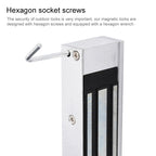 YH-180D Double Door Magnetic Lock (180kg)