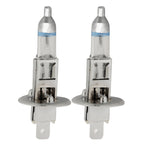 2 PCS H1 12V / 55W / 4300K / 1600lm Xenon Car Headlight Bulbs, Warm White, H1