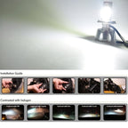 PEGASUS H1 Halogen Car Headlight Lamp, 1600 Lumens Warm White Light, 12V / 100W 5000K, H1