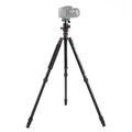 Triopo MT-2504C Adjustable Portable Aluminum Tripod with NB-1S Ball Head for Canon Nikon Sony DSLR Camera, MT-2504C (Black), MT-2504C (Gold)