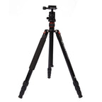 Triopo MT-2504C Adjustable Portable Aluminum Tripod with NB-1S Ball Head for Canon Nikon Sony DSLR Camera, MT-2504C (Black), MT-2504C (Gold)