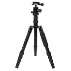 Triopo MT-2505C Adjustable Portable Aluminum Tripod with NB-1S Ball Head for Canon Nikon Sony DSLR Camera, MT-2505C (Black), MT-2505C (Gold)