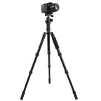 Triopo MT-2505C Adjustable Portable Aluminum Tripod with NB-1S Ball Head for Canon Nikon Sony DSLR Camera, MT-2505C (Black), MT-2505C (Gold)