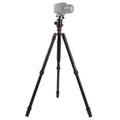 Triopo MT-2804C Adjustable Portable Aluminum Tripod with NB-2S Ball Head for Canon Nikon Sony DSLR Camera, MT-2804C (Black), MT-2804C (Gold)