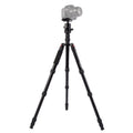 Triopo MT-2805C Adjustable Portable Aluminum Tripod with NB-2S Ball Head for Canon Nikon Sony DSLR Camera, MT-2805C (Black), MT-2805C (Gold)