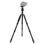 Triopo MT-2805C Adjustable Portable Aluminum Tripod with NB-2S Ball Head for Canon Nikon Sony DSLR Camera, MT-2805C (Black), MT-2805C (Gold)
