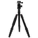 Triopo MT-2805C Adjustable Portable Aluminum Tripod with NB-2S Ball Head for Canon Nikon Sony DSLR Camera, MT-2805C (Black), MT-2805C (Gold)