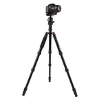 Triopo MT-2805C Adjustable Portable Aluminum Tripod with NB-2S Ball Head for Canon Nikon Sony DSLR Camera, MT-2805C (Black), MT-2805C (Gold)