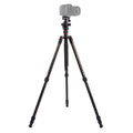 Triopo GT-2504X8.C Adjustable Portable Carbon Fiber Tripod with B-1 Aluminum Ball Head for Canon Nikon Sony DSLR Camera, GT-2504X8.C (Black), GT-2504X8.C (Gold)