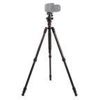 Triopo GT-2504X8.C Adjustable Portable Carbon Fiber Tripod with B-1 Aluminum Ball Head for Canon Nikon Sony DSLR Camera, GT-2504X8.C (Black), GT-2504X8.C (Gold)