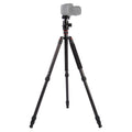 Triopo GT-2804X8.C Adjustable Portable Carbon Fiber Tripod with B-2 Aluminum Ball Head for Canon Nikon Sony DSLR Camera, GT-2804X8.C (Black), GT-2804X8.C (Gold)