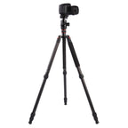 Triopo GT-2804X8.C Adjustable Portable Carbon Fiber Tripod with B-2 Aluminum Ball Head for Canon Nikon Sony DSLR Camera, GT-2804X8.C (Black), GT-2804X8.C (Gold)