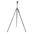 Triopo GT-2804X8.C Adjustable Portable Carbon Fiber Tripod with B-2 Aluminum Ball Head for Canon Nikon Sony DSLR Camera, GT-2804X8.C (Black), GT-2804X8.C (Gold)