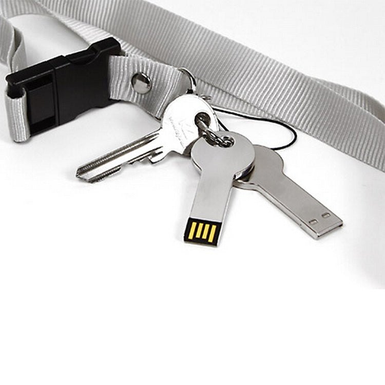 Metal Series Mini USB 2.0 Flash Disk with Keychain (2GB), 2GB