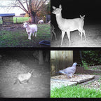 HC300M 2.0 inch LCD 12MP Waterproof IP54 IR Night Vision Security Hunting Trail Camera with MMS Function, HC-300M