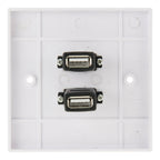 Dual USB 2.0 Female Plugs Home Wall Charger Plate Wall Plate Panel, 2 Ports USB 2.0