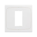 Wall Plate with Screw for Blank Inserts - 1 Hole, Use around the world