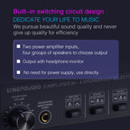 B032 2-in 4-out Power Amplifier Sound Switcher Speaker  Lossless Sound Quality 300W Per Channel Switch Distributor Comparator with Headset Monitoring Function / Audio Input, B032