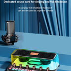 C18 Home Sound Card Karaoke Audio Integrated Microphone Equipment Full Set, C18