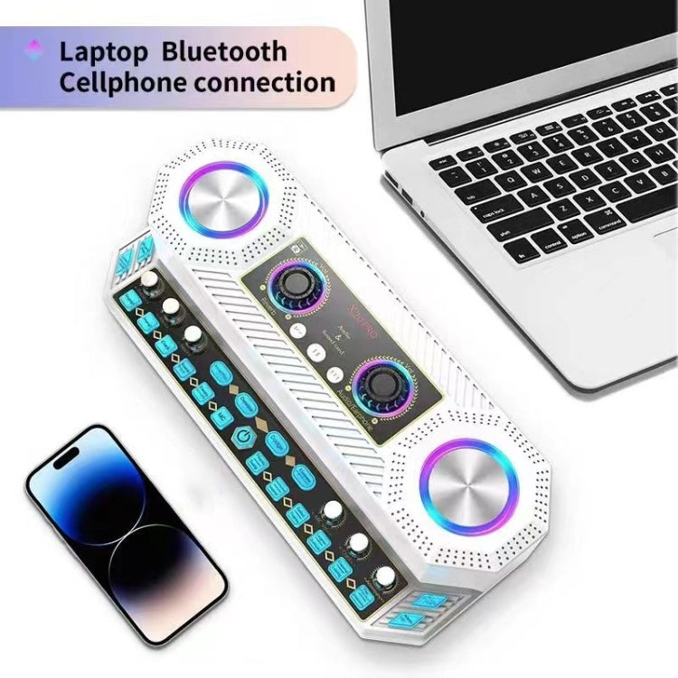 X20 Multifunction Singing Sound Card Audio Machine Square Dance Karaoke Wireless Bluetooth Speaker, X20