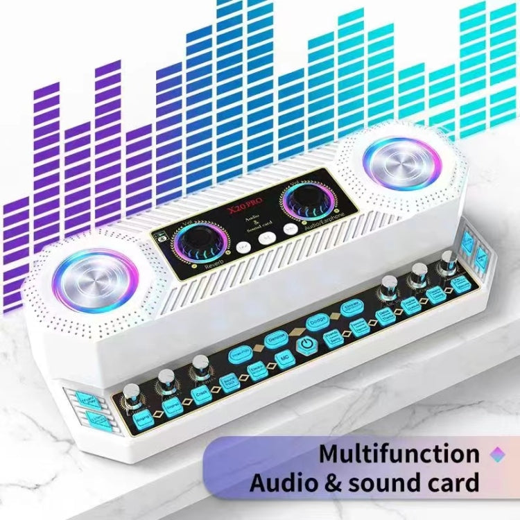 X20 Multifunction Singing Sound Card Audio Machine Square Dance Karaoke Wireless Bluetooth Speaker, X20