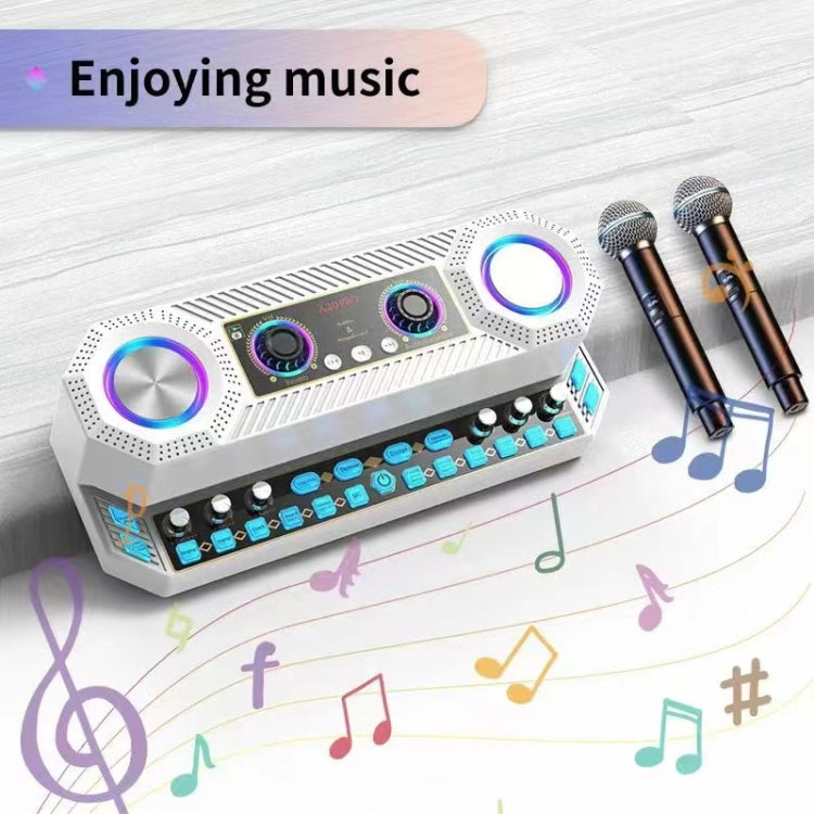 X20 Multifunction Singing Sound Card Audio Machine Square Dance Karaoke Wireless Bluetooth Speaker, X20