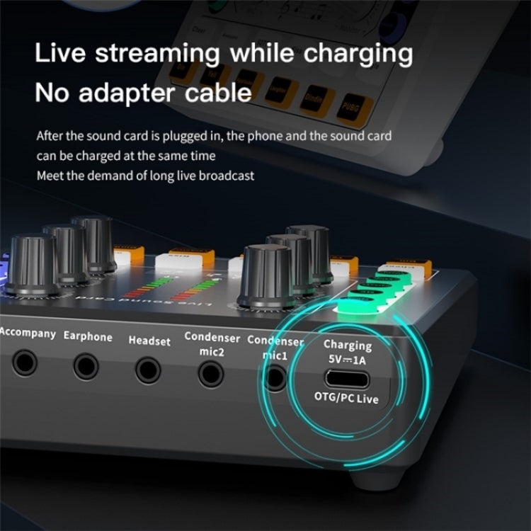BM800 Live Sound Card with Condenser Microphone Kit