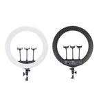 JMARY FM-21R With Remote Control Phone Clip 21-inch Dimmable LED Ring Light, US Plug, EU Plug