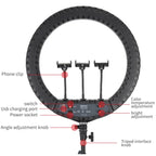 JMARY FM-21R With Remote Control Phone Clip 21-inch Dimmable LED Ring Light, US Plug, EU Plug