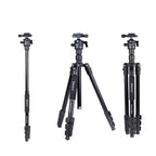JMARY KT285+NB40 Live Streaming Photography Monopod Tripod Detachable Camera Stand, KT285+NB40