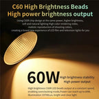 C60R 60W RGB Stage Lamp Professional Video Photography COB Fill Light With 8 Batteries, US Plug, UK Plug, EU Plug