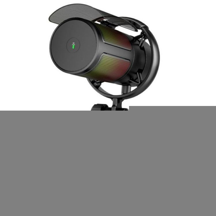 ME6P Professional USB Desktop Recording Microphone with RGB Light, ME6P
