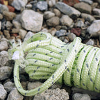5mm Diameter Reflective String Windproof Tent Rope Line Camping Rope Reflective Tent Ropes, 5mm Diameter